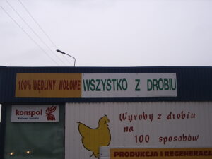 Read more about the article Éternellement Jeune : Ma Danse Sensuelle et Interdite au Bureau